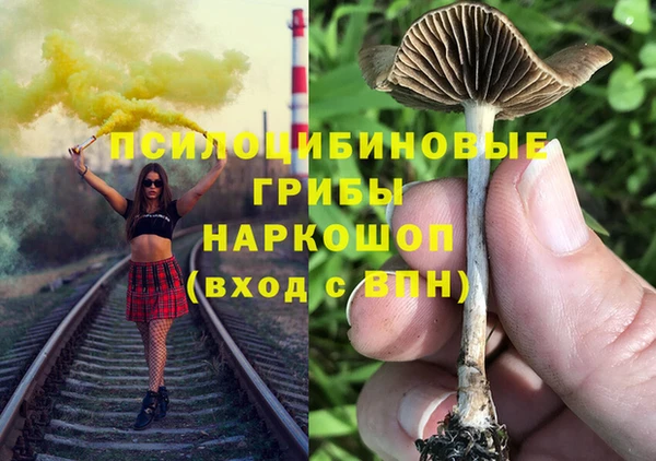 метадон Богородицк